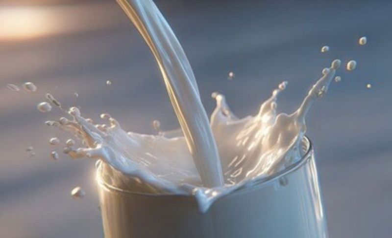 يواجه سوق الألبان العالمي تحديات مع زيادة العرض وضعف الطلب