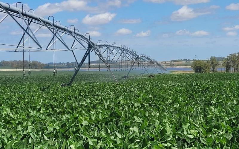 Uruguay adopts 10 irrigation systems in colonies