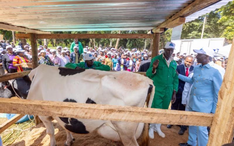 Kenya Tarım Üreticileri Yeni Kenya Kooperatif Kremaları'ndan Gecikmiş Ödemelerini Aldı