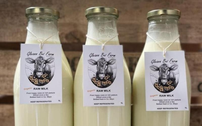 Price of Raw Milk Drops for Third Consecutive Month in Galicia