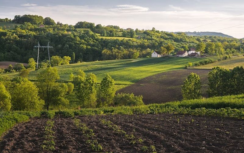 Dairygold Emphasizes Importance of Keeping Irish Dairy Land Productive