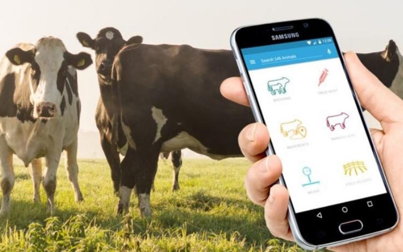 AI and Subsidies: How Tech is Transforming India’s Dairy