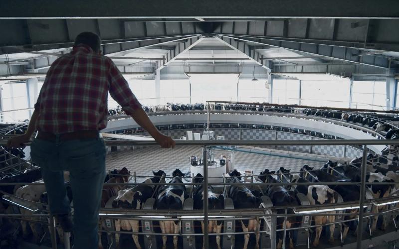 Wisconsin Bill Proposes Low-Interest Loans for Small Dairy Farms Amid Industry Consolidation