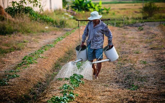 Federated Farmers Push for Smarter Farm Plans in New Zealand