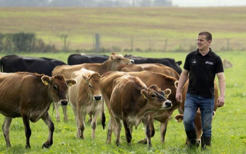 Scottish Dairy Farm Sought for Strategic Innovation Program