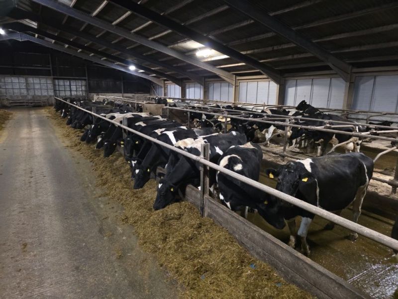 Cumbrian dairy family says cable repair resolved power dispute