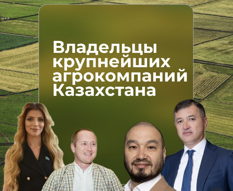 DailyBiz продолжил список крупных агрокомпаний Казахстана и их владельцев