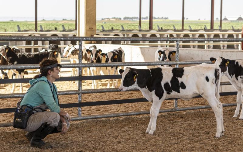 Support to Saucillo Dairy Farmers with 66 Tons