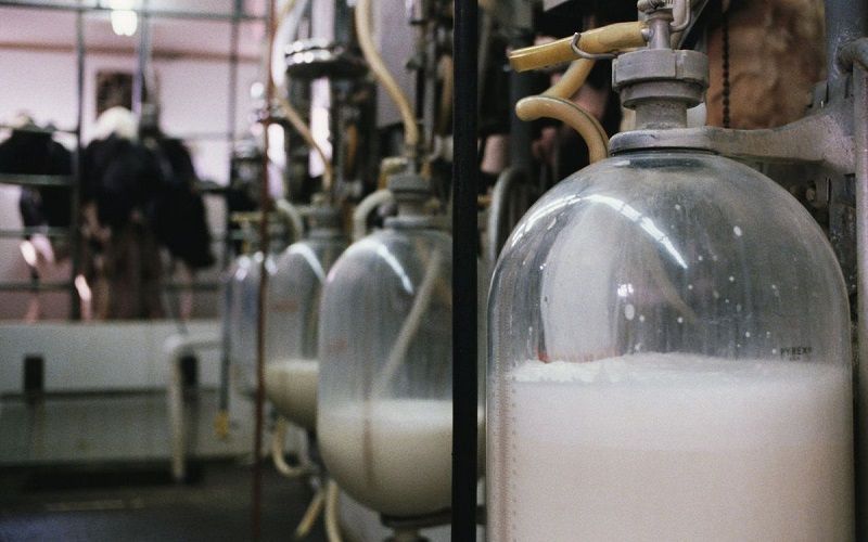 Будущее молочного производства Казахстана – за глубокой переработкой