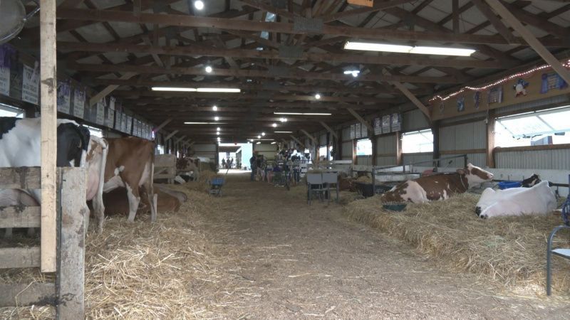 Pennsylvania Dairy Farmers Face Rising Production Costs