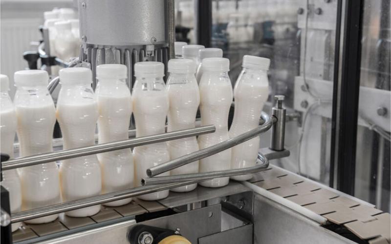 Challenges and Fluctuations in the UK Dairy Market Amidst Global Changes