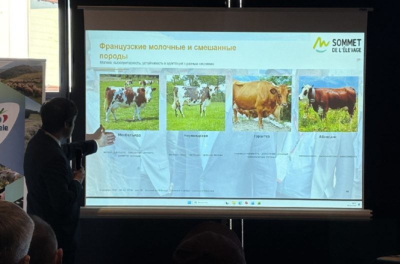 Representatives from Kazakhstan and France Discussed Cattle Breeds at Sommet de l’Élevage