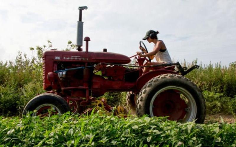 Trade Crisis Deepens: Why China is Bypassing U.S. Agriculture
