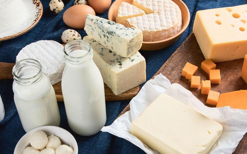 Lácteos Solidarios: Kırılgan Topluluklar İçin Uygun Fiyatlı Süt ve Peynir