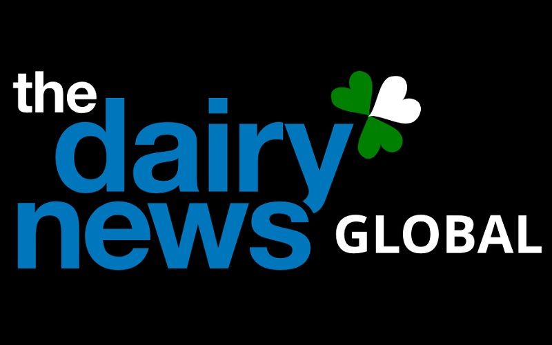 The DairyNews запустил сайт глобальных новостей The DairyNews Global