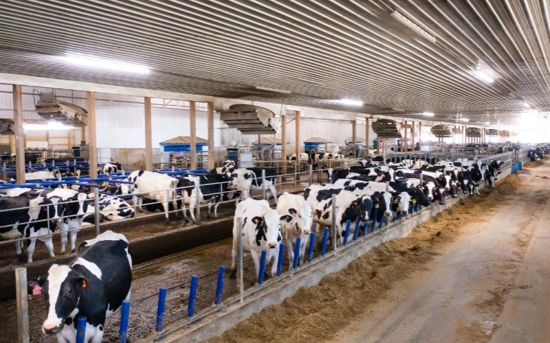 Süt Ürünleri Kredi Verme Evrimi: Gelenekselden Teknolojik Yaklaşımlara