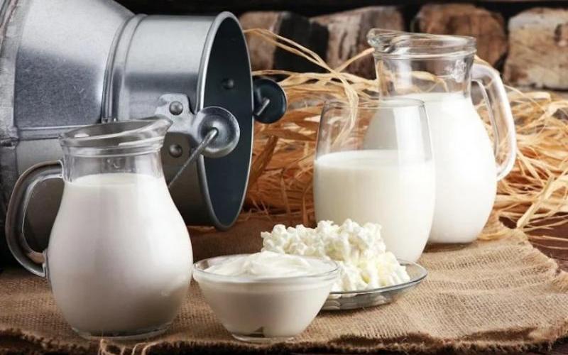 USDA Increases Funding to Boost Dairy Exports Amid Global Surplus