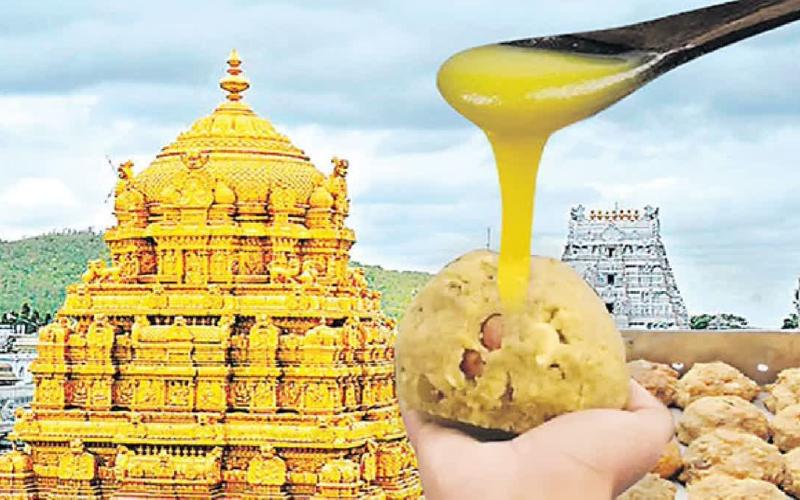 Arrest in Tirupati Laddu Scandal: Chemicals Linked to Dairy Adulteration