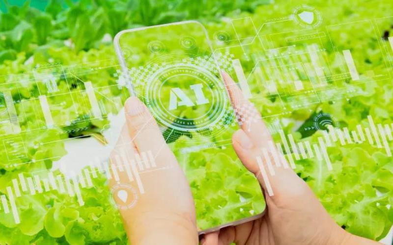 Будущее, возглавляемое фермерами, необходимо для Dairy Australia