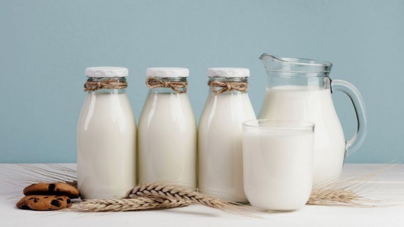 World Milk Day Highlights Economic and Nutritional Significance