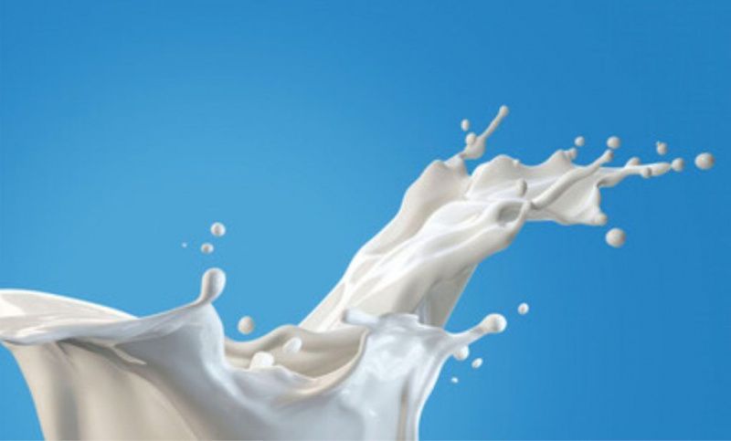 Banco do Brasil bulletin gives dairy farming a separate path