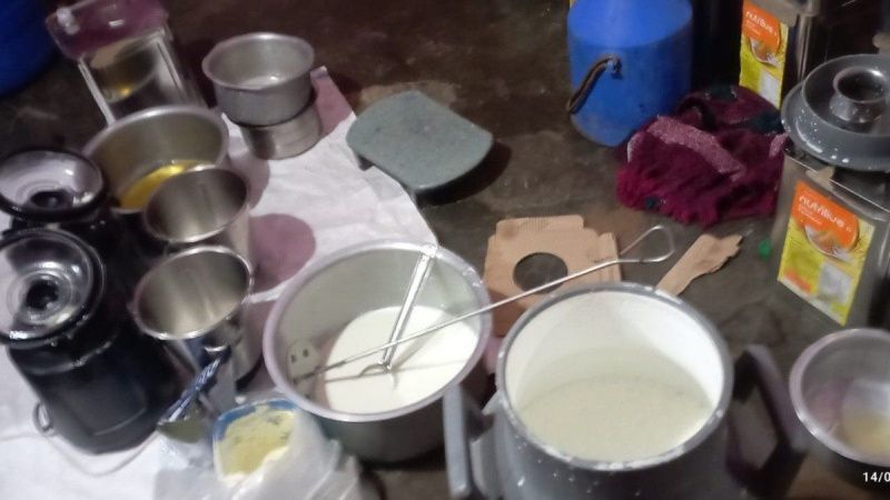马哈拉施特拉FDA在普纳揭露牛奶掺假网络并销毁16,730升牛奶