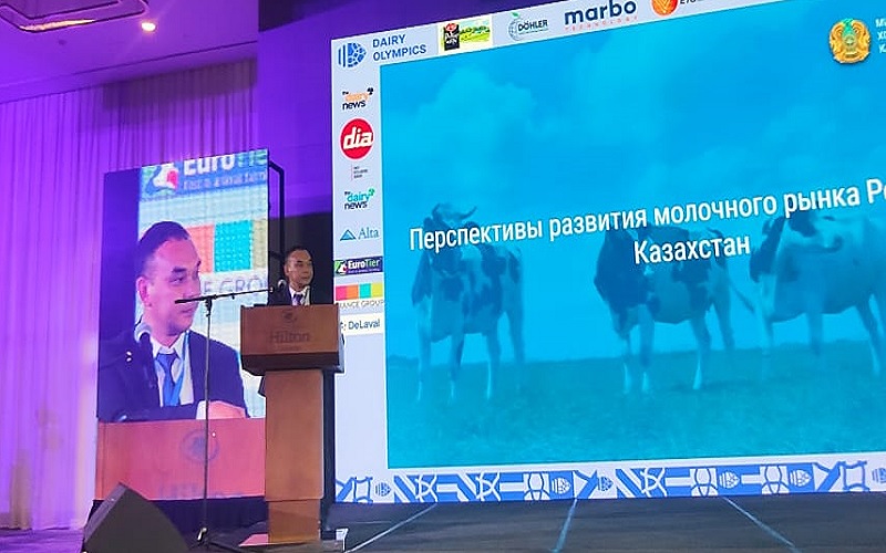 Господдержка для удешевления производства молока в Казахстане составила 41 млн долларов за 5 лет