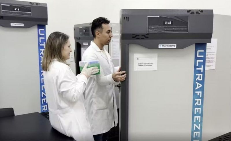 Preservación de la Identidad Microbiológica en el Queso Artesanal Brasileño
