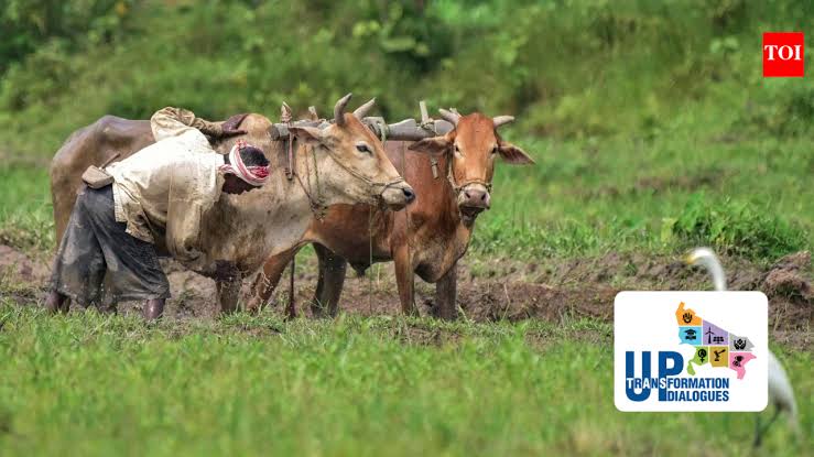 Uttar Pradesh's Dairy Scheme Promotes Smallholder Farming and Indigenous Breeds
