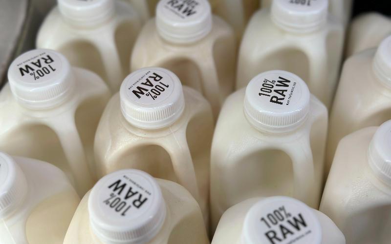 Panama Seeks Solutions Amid Temporary Milk Collection Halt