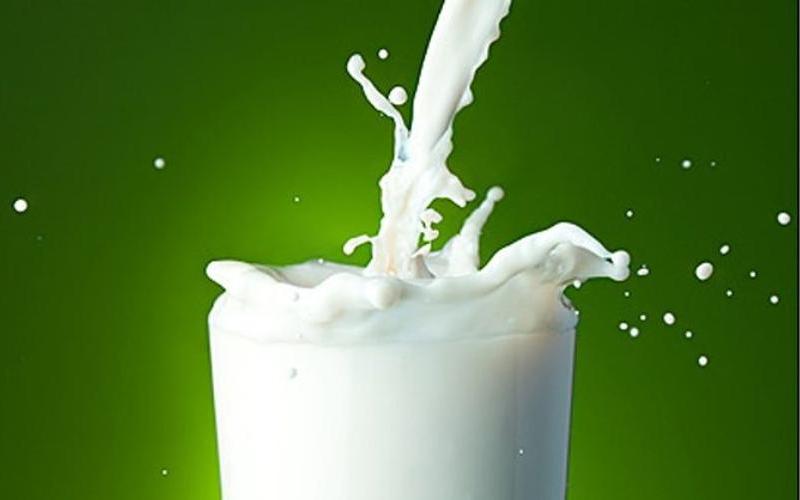 Natural Dye Detects Spoiled Milk: Is This the Future of Safety