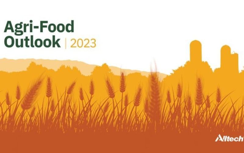 Alltech Agri-Food Outlook 2023: Глобальное производство корма оставалось стабильным в 2022 году