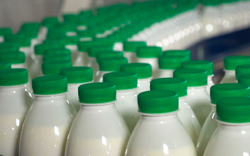 IFCN: цена на молоко на мировом рынке в октябре 2022 снизилась на 5%