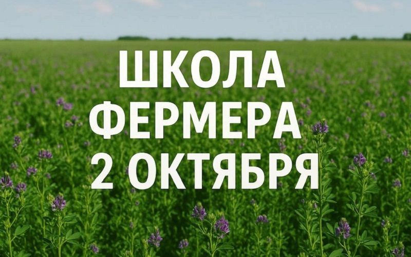 Школа фермера: про здоровье и продуктивность коров