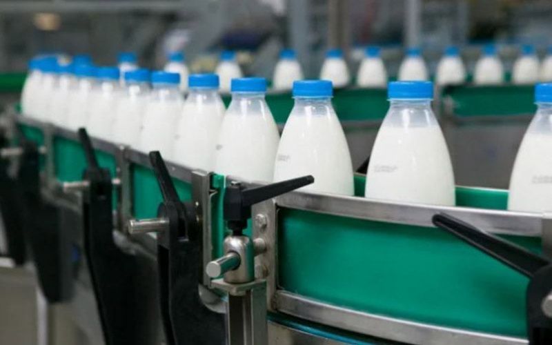 В России стартовал эксперимент по партионному учету молочной продукции