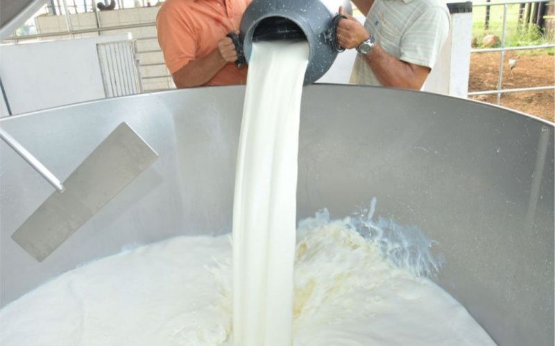 Milk prices in Rondônia ranged from R$1.90 to R$2.70