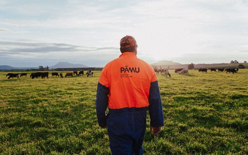 Pāmu appoints Andrew Sliper as chief financial officer