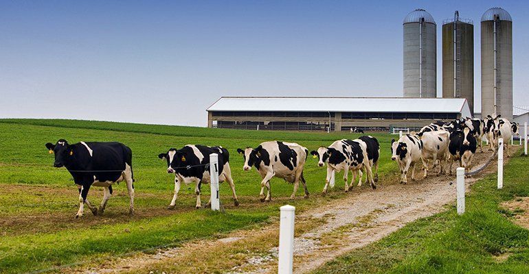 Pennsylvania Dairy Couple Receive Up to $35,000 in Monthly Shale Royalties