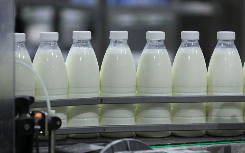 Russian dairy products are mainly exported to CIS countries: 85% of exports go abroad