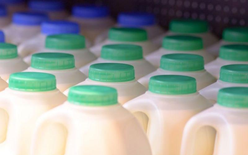 First Milk to Cut October Milk Price Amid Market Challenges