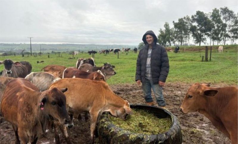 A Smallholder Describes the Demands of Dairy Farming
