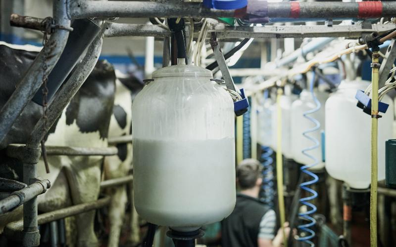 Kerry Dairy Ireland Announces Further Milk Price Reduction for October