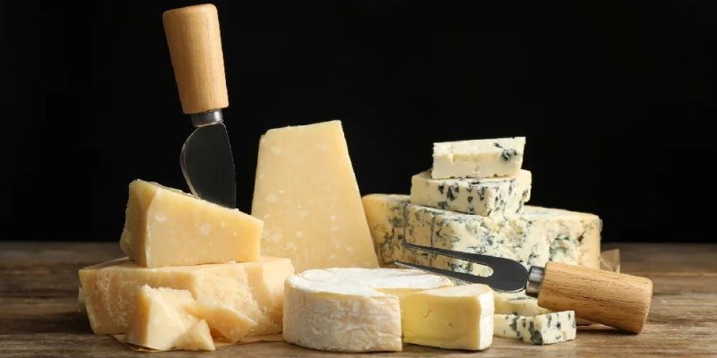Fermented cheeses support gut microbiota health, specialists say