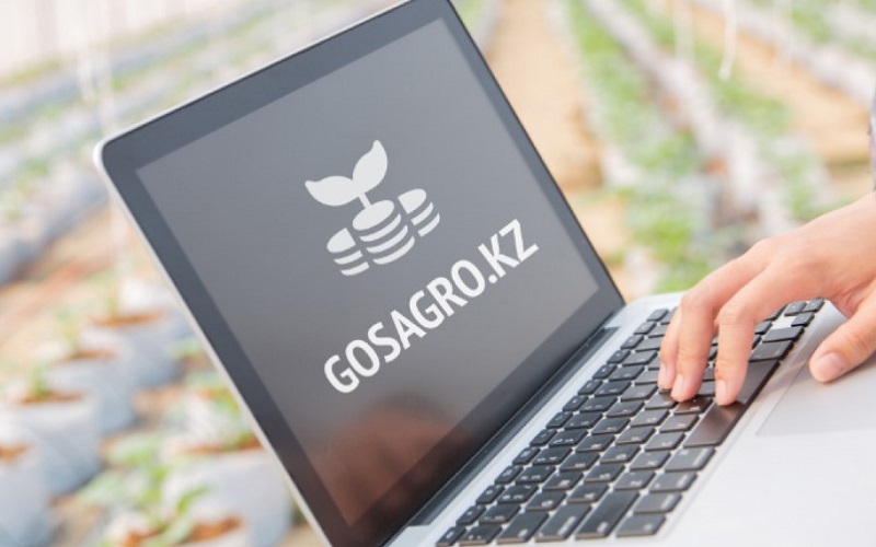 Фермеры рассказали еще об одной недоработке Gosagro.kz