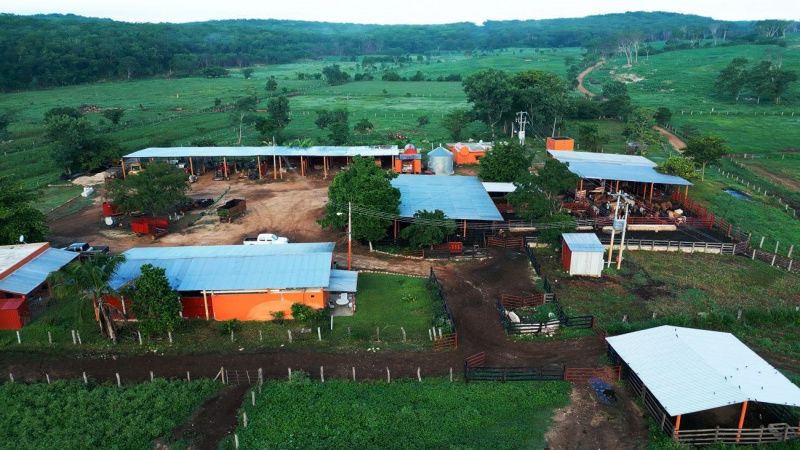Campeche ve Michoacán: Meksika'nın Süt Ürünleri Sektöründe Anahtar Oyuncular