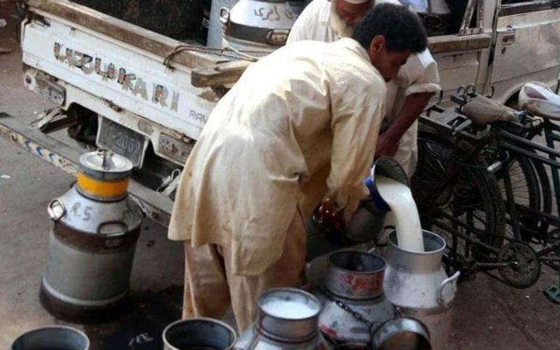 Karaçi'deki Süt Üreticileri, Sel Kaynaklı Kayıplar Nedeniyle Fiyat Artışı Talep Ediyor