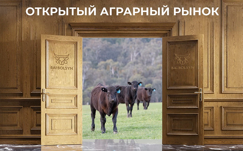 В Казахстане открыт аграрный онлайн рынок BaiBolsyn.kz