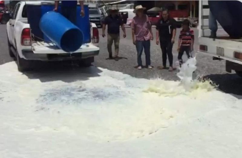 Isthmus Dairy Farmers Blocked Highway Over Unpaid Milk Deliveries