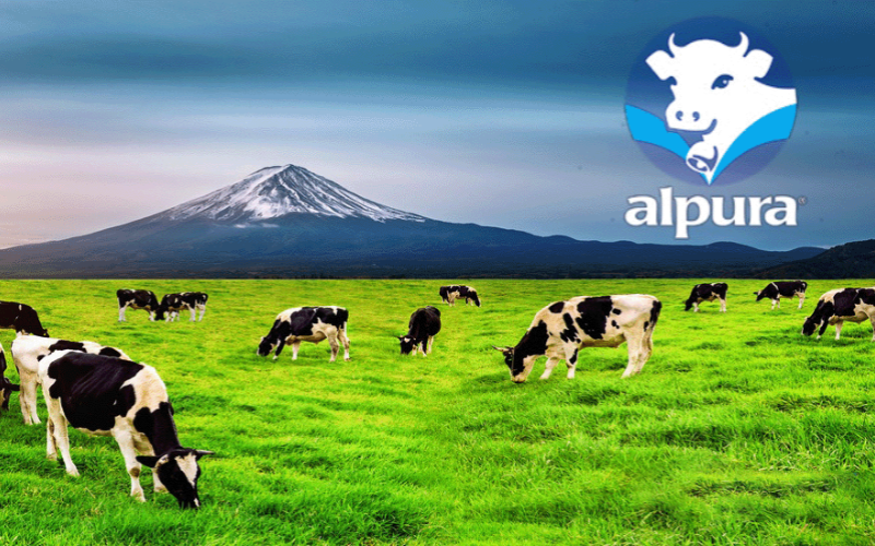 Alpura on the Brink of Strike: August 4th Looms