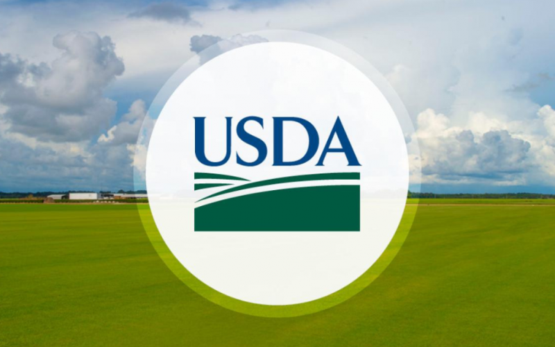 USDA, Tarım İşletmeleri İçin 1 Milyar Dolarlık Sel Yardımını Başlattı